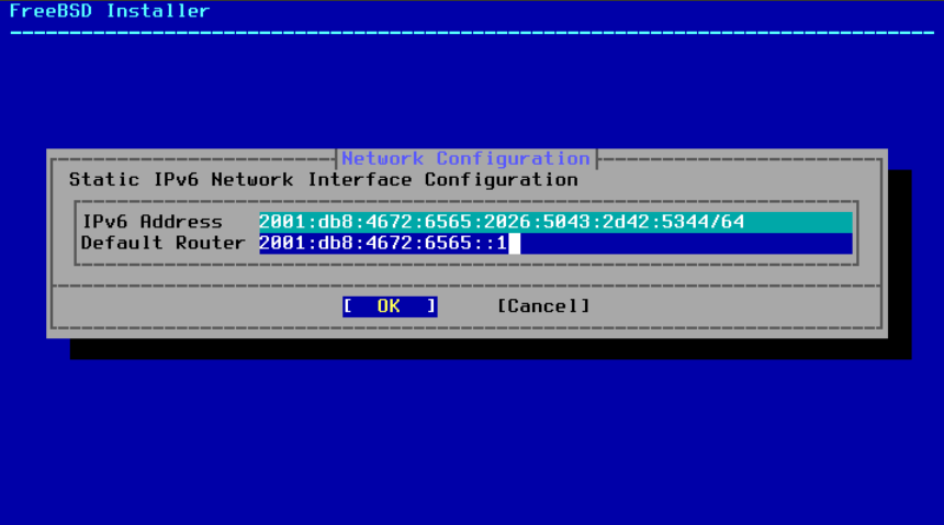 Menu requesting data to configure IPv6 network.