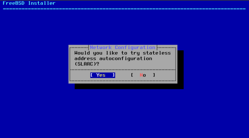 Menu indicating if SLAAC wants to be configured for the selected interface.