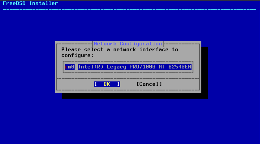 Menu showing the different network interfaces to configure.