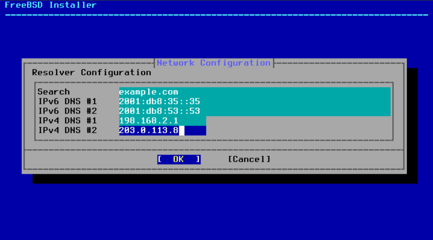 Menu requesting data to configure DNS for the network.