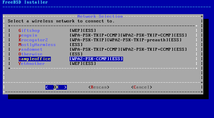 Menu showing the different wireless networks to connect to.