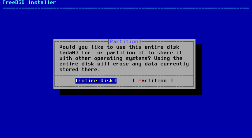 Menu asking the user if he wants to use all the available space on the disk or wants to make a partition