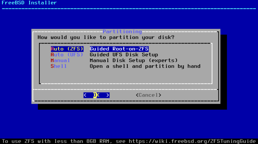 Shows the different partition options. Example: Manual